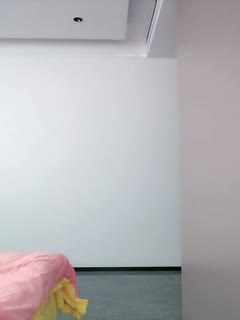 国产精品