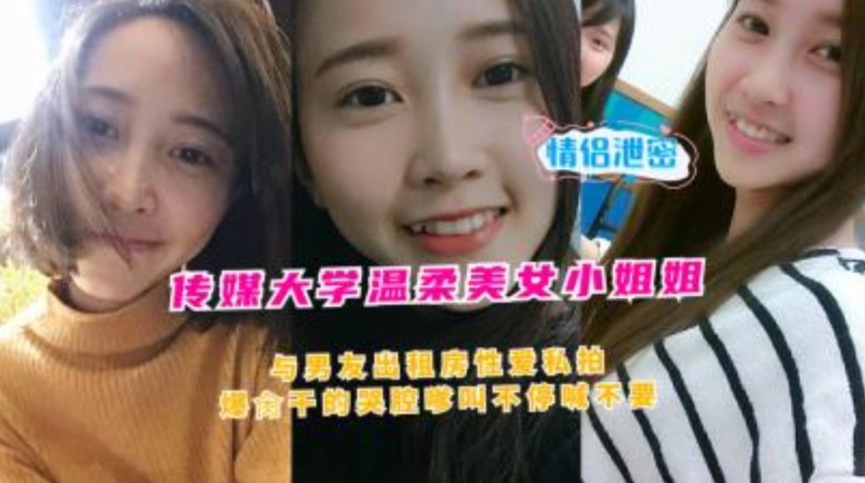 网传热门