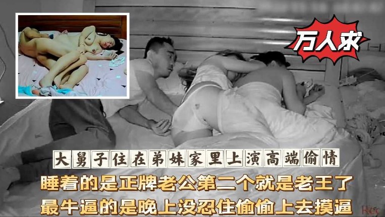网传热门