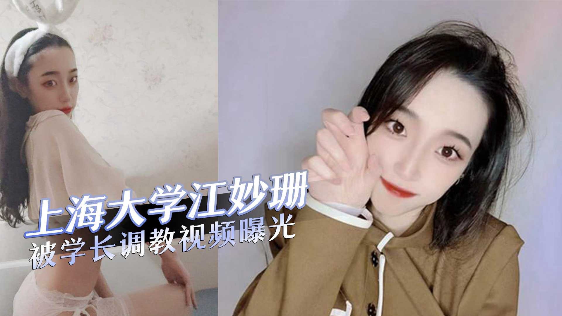 网传热门