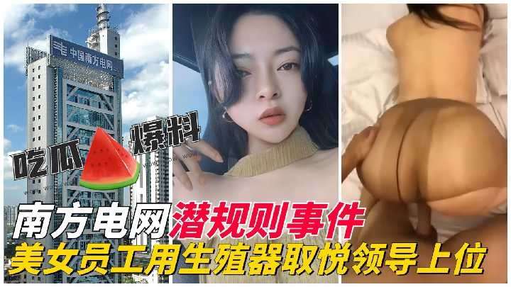 网传热门
