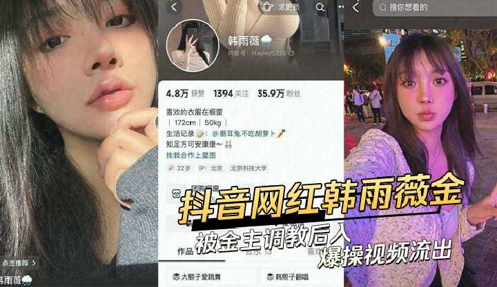 网传热门
