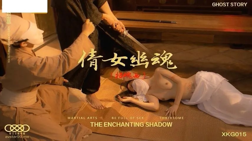 其它片商